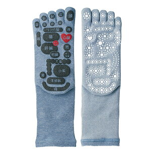  ʑ 5{w\bNX ډ C am Y TSUBO Vs PLUS c{    tbg}bT[W c{}bv 25-27cm { O}