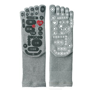 ʑ 5{w\bNX ډ C am Y TSUBOVs PLUS c{    tbg}bT[W c{}bv 25-27cm { O}