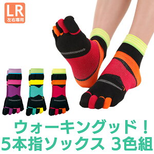 5{w\bNX EH[LObhI 3Fg 2213630 bV҂ T|[g҂ pC҂ Ep݌v Ȃ ƕt jO }\ X|[c\bNX O} MIKASA