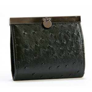 y݌ɌzI[Xgb` ^ ܌J[hP[X-20 |CgJ[h [  Wo e AR[fBI RpNg