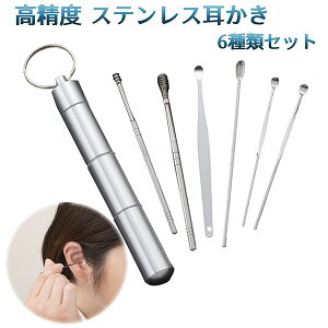 高精度 ステンレス耳かき 6種類セット ‐ ケース付き 耳かき6点セット 耳掃除 耳そうじ 耳掻き みみかき ステンレス製 耳垢