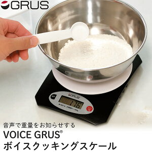 ŏdm点 VOICE GRUS {CXNbLOXP[ GRS301J OX Lb`XP[ fW^ dIt Vv ȒP  ͂ CebN