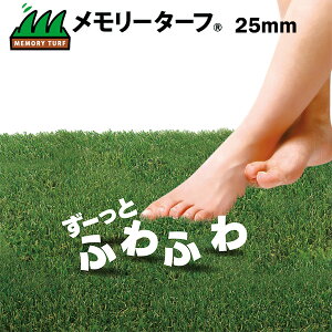 lH [^[t 25mm ]St K ŐV[g [ lH Ή |  h΍ 1m×10m jIrY 