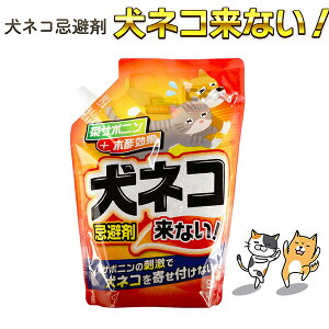 g[N lR lRȂI 900g] ǔL  ǌ΍ L悯 L ̂L΍ ǔL΍ L O  