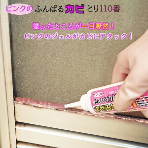 【1本/100g】ピンクのふんばるカビとり110番 FP-297 カビ取り剤 風呂 浴室 バス タイル 目地 シャワーカーテン シリコンコーキング ゴムパッキン 壁 シャワー 隙間 すき間 大掃除