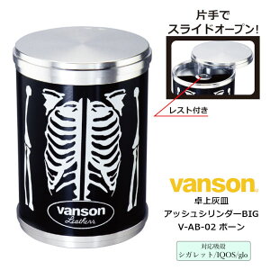 DM ԓDM vanson AbVV_[ rbO V-AB-02 {[]o\ AbVV_[BIG yMC^[ ubN A~ y XCh ACRX ILUMA eA TEREA