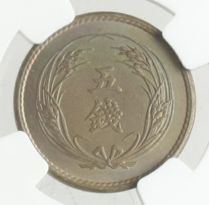 楽天市場】稲5銭白銅貨明治36年（1903）特年号 PCGS鑑定【Cleaning AU 