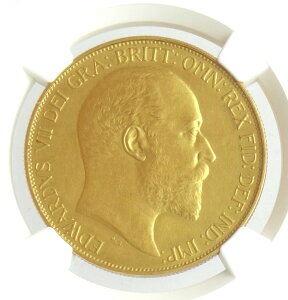 CMXGh[h71902N5|h݁@PCGSӒyPR60 MATTEz