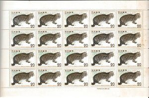 y؎V[gzRیV[Y@CIe}lR@20~20ʃV[g@a50Ni1975j