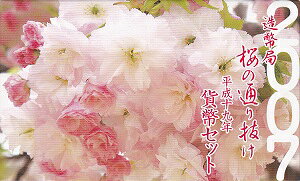 2007@19N ̒ʂ蔲~gZbg