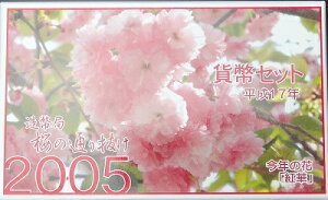 2005@17N ̒ʂ蔲~gZbg