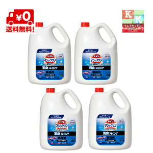 @ԉ@gC}WbN@LXgO@Ɩp@4.5L×4{i gCp܁Et̐܁@P[X̔ j