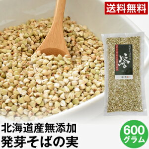  O ΂̎ kCY 600g 肻΂̎ _iق܂jylR|XzY Y 肻 kL ̎  Y΂̎     X[p[
