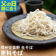 【父の日 まだ間に合う】父の日 ギフト 2026 父の日ギフト プレゼント ｜ 信州安曇野手打生そば 更科そば…