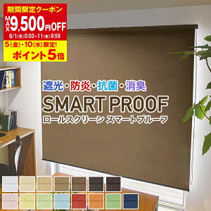 �y�ő�9,500�~OFF�z6/1 0:00�`6/11 9:59�Ռ��E�h���E�R�ہE���L���[���X�N���[���uSMART PROOF�v �T�C�Y:��81�`120cm×��81�`120cm �h�����[���X�N���[��