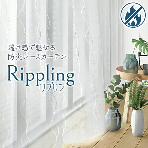 ꓧŖfUC[XJ[euRippling(vjvhdlFTCY:125cmE150cm×203`248cm×2g