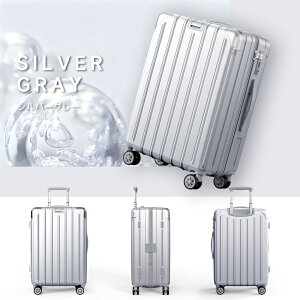 y50OFFVTtzX[cP[X @ ϏՌ S/M/LTCY ÉLX^[ y e 12 23 TSAbN L[P[X L[obO 360x] i y 