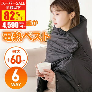 ySSi4,590~Iz dCЂ| |~p dCѕz 120×90cm Ђ| dCuPbg ѕz q[^[uNPbg g 8q[^[ 3iKx USBd ӂӂ A