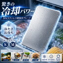 ＼先着限定！65％オフ→973円~ ／保冷剤 ステンレス 驚きの保冷力 長持ち ステンレス保冷剤 SUS304 長時間冷却 薄型 …