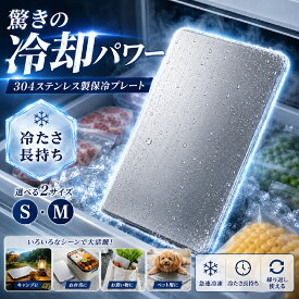 【先着限定★クーポン利用で1,375円~】 保冷剤 ステンレス 驚きの保冷力 長持ち ステンレス保冷剤 SUS304 長時間冷却 薄型 軽量 コンパクト 高伝導 アイスパック 保冷 冷やす クーラーボックス 急速冷凍 冷却用品 倍速凍結 アウトドア 防災用品 BBQ 釣り 繰り返し 夏の必需品