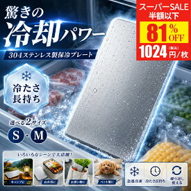 【SS終了間近★クーポンで1,024円】 保冷剤 ステンレス 驚きの保冷力 長持ち ステンレス保冷剤 SUS304 長時間冷却 薄型 軽量 コンパクト 高伝導 アイスパック 保冷 冷やす クーラーボックス 急速冷凍 冷却用品 倍速凍結 アウトドア 防災用品 BBQ 釣り 繰り返し 夏の必需品