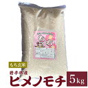 ヒメノモチ もち米 玄米 5kg 送料無料 岩手県産 令和7年産ひめのもち ひめのもち米 5キロ もち米玄米 もち米玄米5kg …