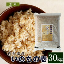 楽天市場】いのちの壱 玄米の通販 
