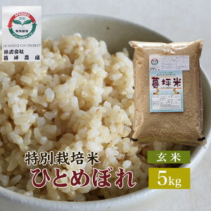 ЂƂ߂ڂ  5kg ʍ͔| ܂  茧Y ߘa7NY ؕēʍ͔|    5L 5kg 5L đO̕ đO 茧  Y uh _ƒ Yn