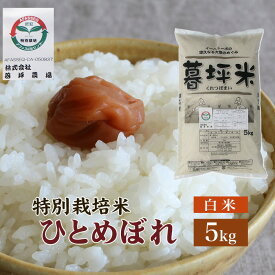 ひとめぼれ 米 白米 5kg 特別栽培 まの 送料無料 岩手県産 令和7年産 暮坪米特別栽培米 お米 おこめ 5キロ 米5kg 米5キロ 岩手県 岩手 国産 精米 ブランド米 農家直送 産地直送