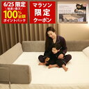 【6/25(水)限定！当選確率1/2最大100%Pバック × 5%OFFクーポン配布中！楽天1位】Little One 洗える高級ベロアカバー…