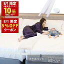 【8/1(金)限定！エントリーで楽天ポイント10倍 × 5%OFFクーポン配布！】幅30cm ベッド すきまパッド(Bタイプ カバー無し)＋マットレスバンド マットレス 固定 連結 すきま防止 隙間 ズレ防止 ベッド マット ベルト 【送料無料 実用新案取得】