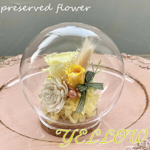 vU[uht[ cocoa`RRA` RNKXh[ a   AWg KX l̓ v[g ސEj Əj җ Ê j LO Cj j