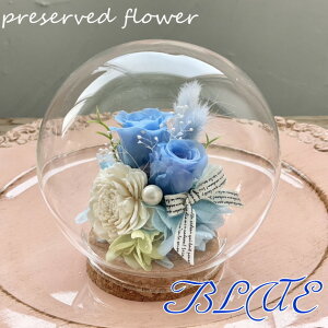 vU[uht[ cocoa`RRA` RNKXh[ a   AWg KX l̓ v[g ސEj Əj җ Ê j LO Cj j