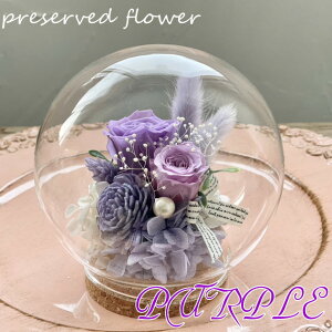 vU[uht[ cocoa`RRA` RNKXh[ a   AWg KX l̓ v[g ސEj Əj җ Ê j LO Cj j