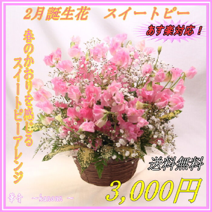 楽天市場 2月 誕生花 スイートピーアレンジ 送料無料 あす楽対応 誕生日 花 アレンジ スイートピー 誕生花 フローリスト 華音 楽天市場 2月 誕生花 スイートピーアレンジ 送料無料 あす楽対応 誕生日 花 アレンジ スイートピー 誕生花 フローリスト 華音