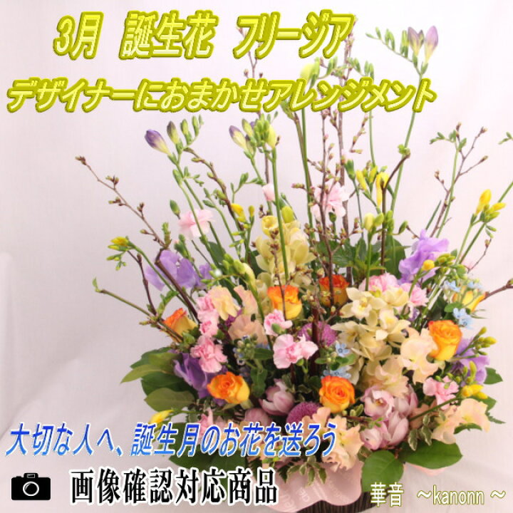 楽天市場 3月 誕生花 フリージアおまかせアレンジメント 送料無料 あす楽 誕生日 花 アレンジ フリージヤ 誕生花 花束 お祝 フローリスト 華音