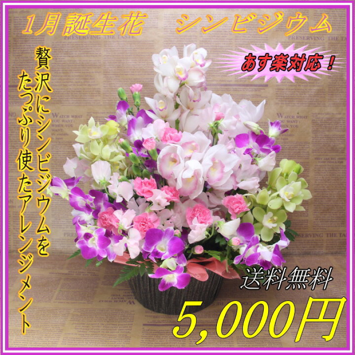 楽天市場 1月 誕生花シンビジウムアレンジ 誕生日 花 アレンジ シンビジューム シンビジウム 誕生花 フローリスト 華音
