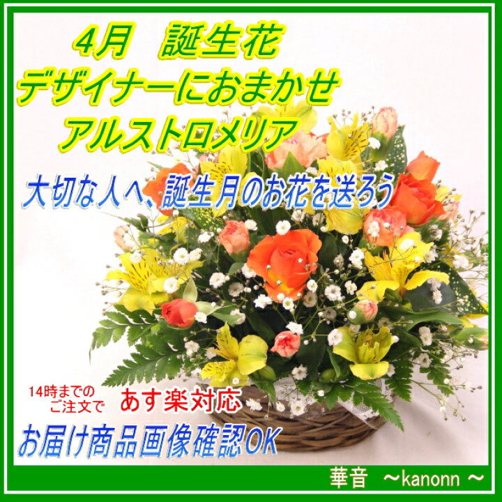 楽天市場 4月 誕生花 アルストロメリアおまかせアレンジ 送料無料 あす楽 誕生日 花 アレンジ アルストロメリア 誕生花 花束 お祝 フローリスト 華音