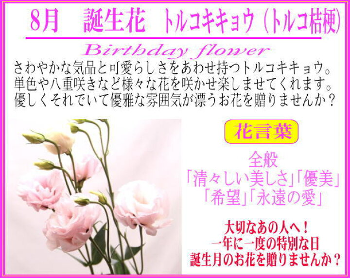 楽天市場 8月 誕生花 トルコキキョウおまかせアレンジ 送料無料 あす楽 誕生日 花 アレンジ トルコキキョウ 生花 花束 フローリスト 華音