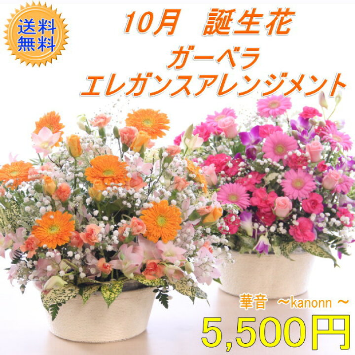 楽天市場 10月 誕生花 ガーベラエレガンスアレンジ 送料無料 あす楽 誕生日 花 アレンジ ガーベラ プレゼント 誕生花 フローリスト 華音