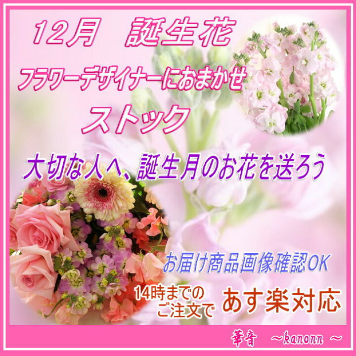 楽天市場 12月 誕生花 ストックおまかせアレンジ 送料無料 あす楽 誕生日 花 アレンジ ストック プレゼント 誕生花 フローリスト 華音