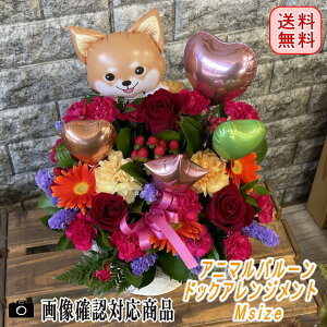 t[o[ hbOAWg@Msize@y 蕨 a JXj wj j RT[g \j j JƏj Aj} Ck  q o[  j  