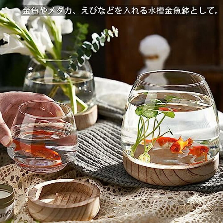 楽天市場】金魚鉢 おしゃれ 金魚 メダカ 水槽 室内 容器 鉢 ミニ水槽 