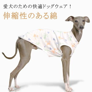 m[X[u TVc C^O TVc C^A ~js Ȃ EBybg ׃hgeA O[nEh C^O     TVc  C^AO[nE