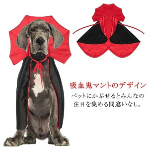 ϐgObY ybgRXv L  hL Lpi NX}X RX`[ 킢  L ybg Obc }g ^  zS 蕨 ߑ  L̕ LpRXv lR