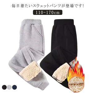 Y{ pc ̎q Y{ WK[pc H~ XEFbgpc j̎q {gX Opc XEFbgpc XEFbg pc 110 140 130 XEFbgpc 150 160 170 t [E