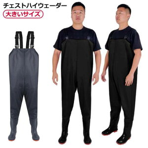 傫TCY ނ kނ tC  C `FXgnC `FXgnC  Cނ tC EF[_[ }Xނ ނ T[t `FXgnCEF[_[ C t EF_[ ނ