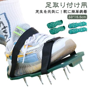 XpCN GA[V  n C y  ŐXpCN Vo C GA[V   ŃXpCN Ŏ  y  Ő tp K[fXpCN K[