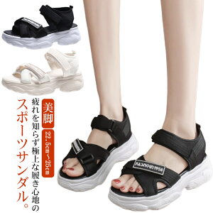 Xj[J[T_ fB[X X|[cT_  X|T CY  22.5cm`25cm r[`T_ ₷ y Xj[J[T_ r _bhV[Y RtH[gT_ 