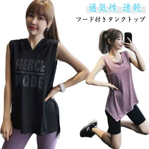 ^Ngbv p[J[ t[ht gbvX  fB[X Ȃ TVc X|[cEFA W tBbglX ACXVN Ђ  XEFbgVc K    m[X[